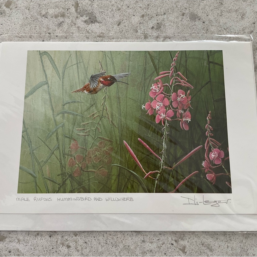 Hummingbird & Swans Art Cards